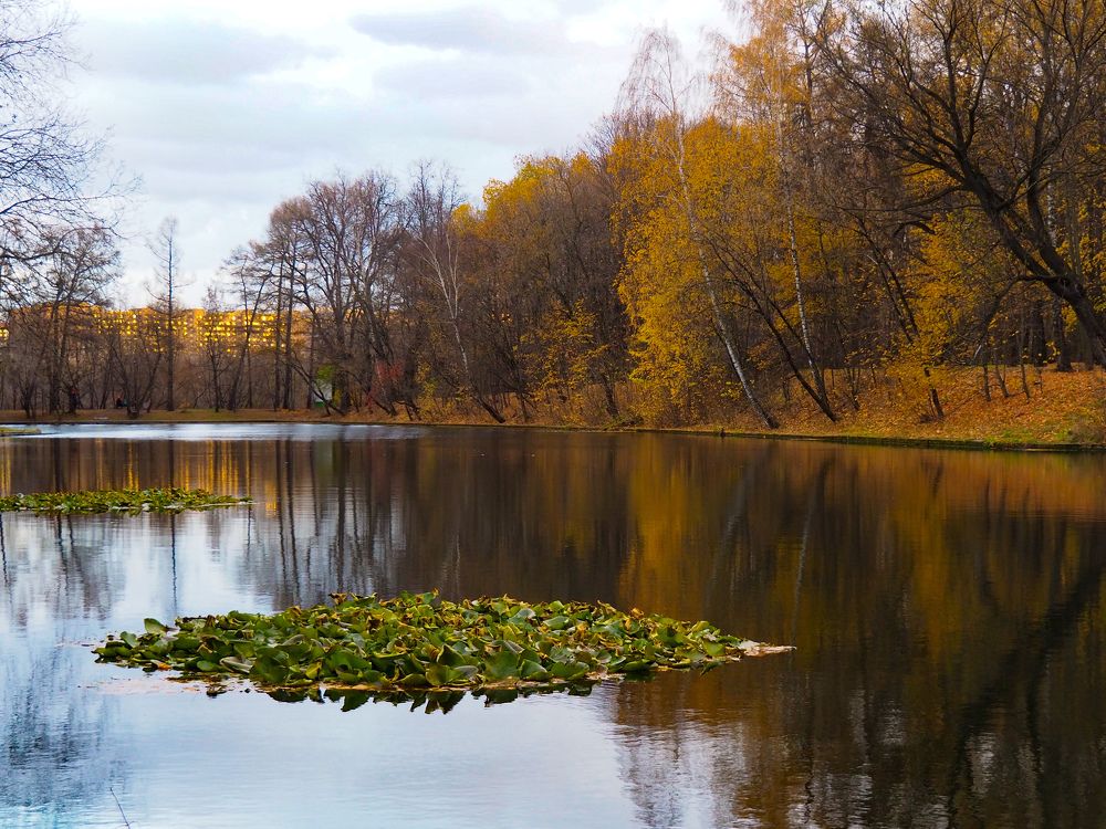 Photograph by Анастасия Огурцова