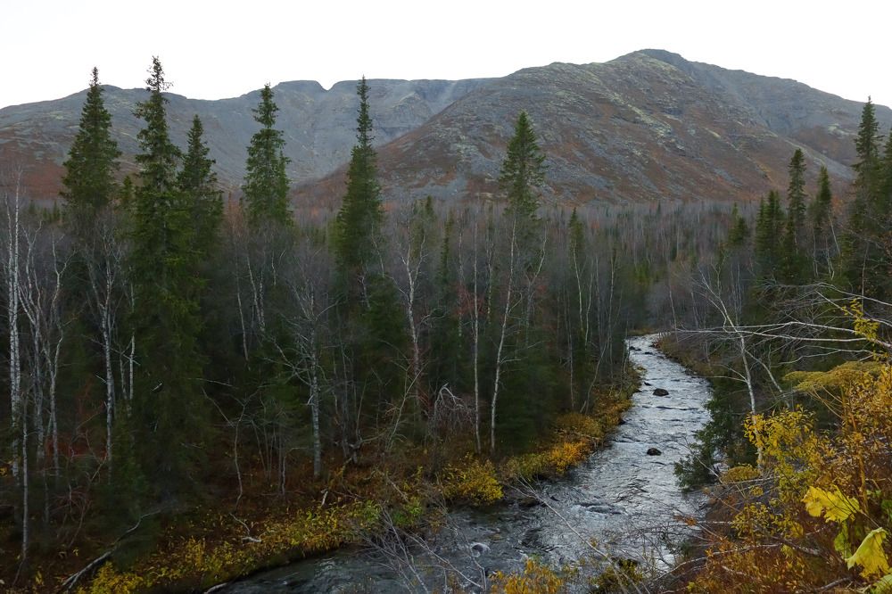 Photograph by Екатерина Чернышова