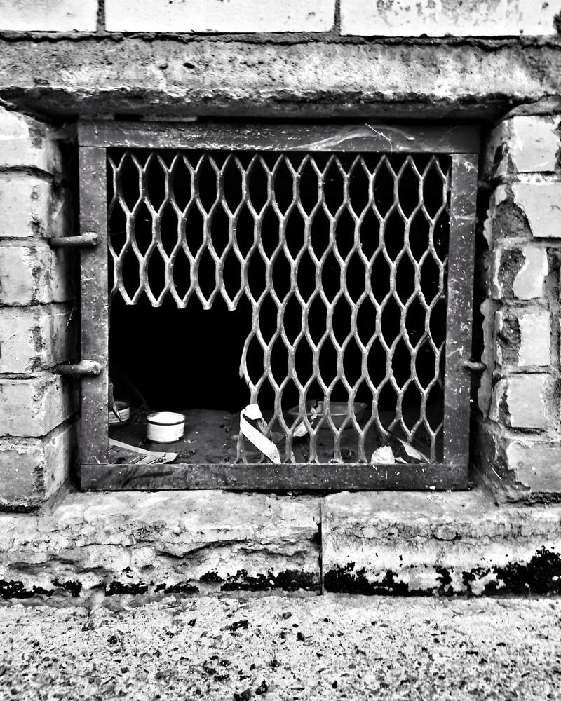 Photograph by Marya Kiseleva