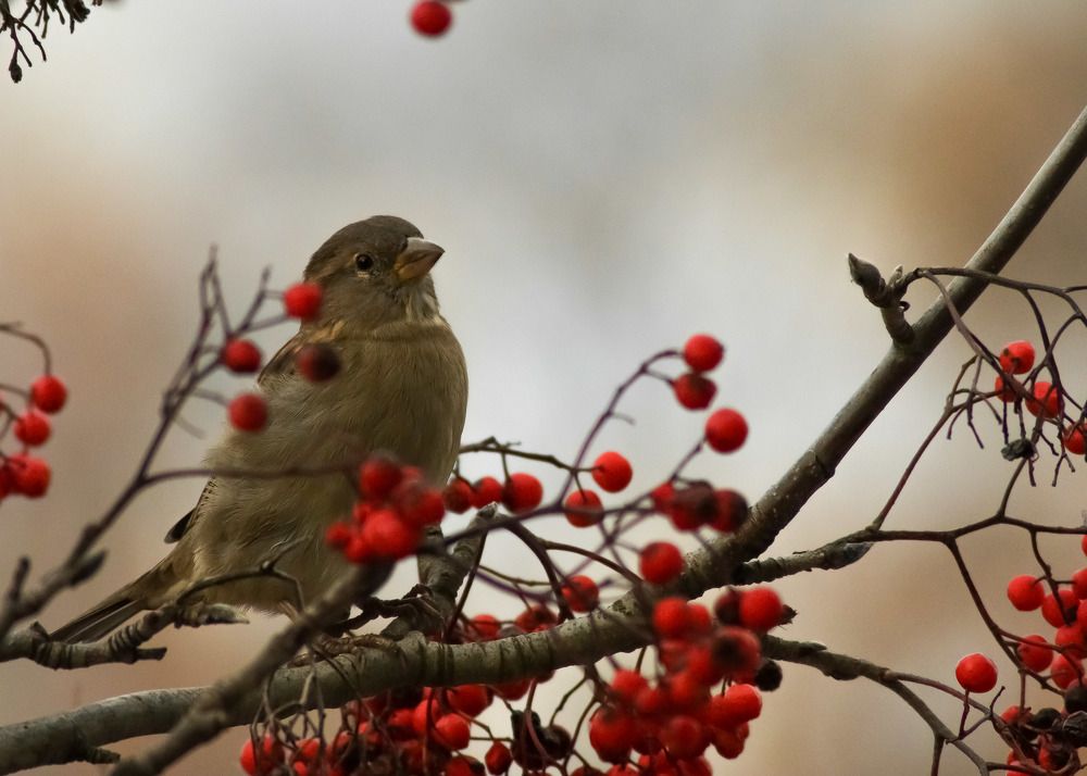Photograph by Екатерина Чернышова