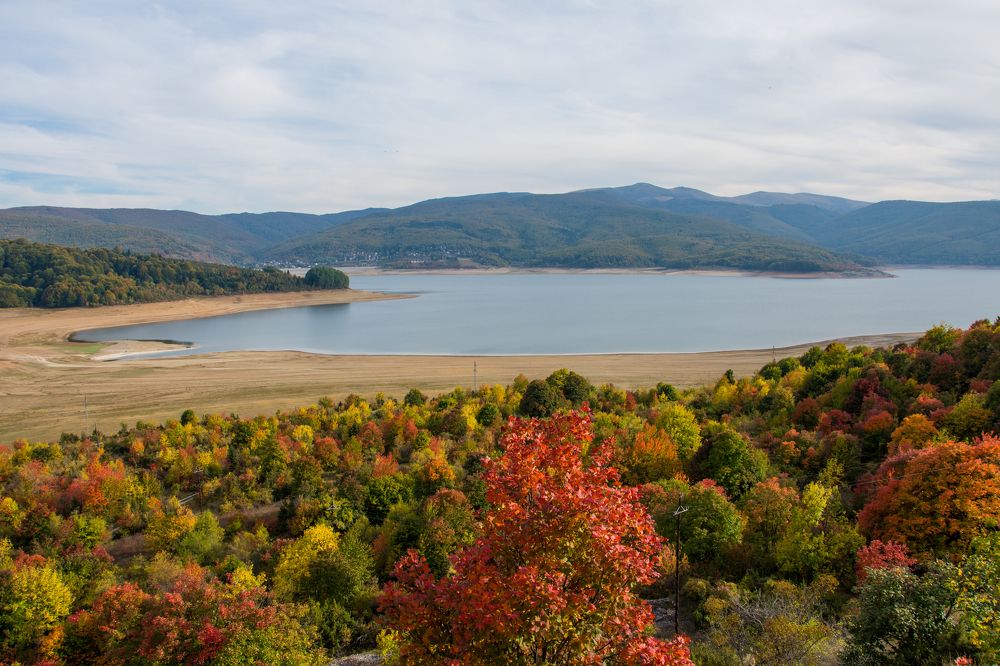 Фотография автора Lidija Gjatovska