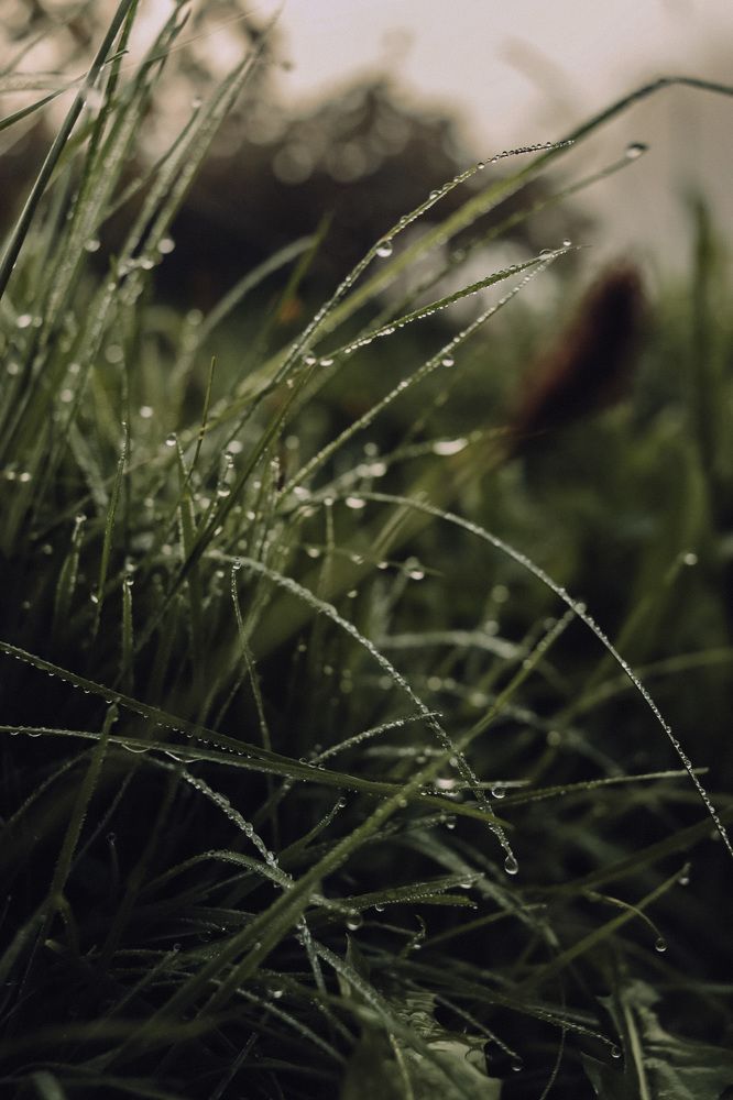 Photograph by Елена