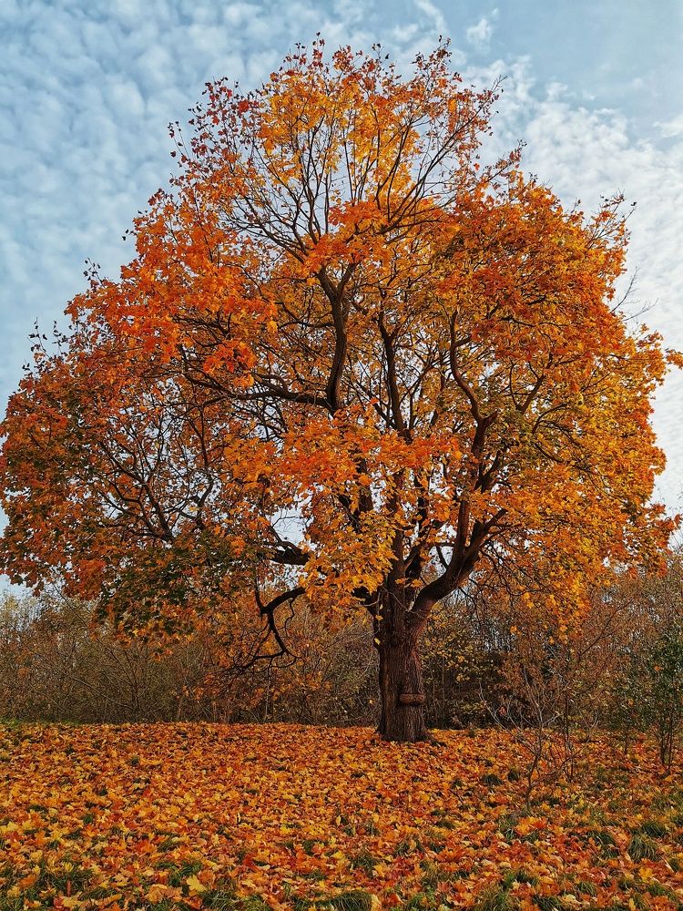 Photograph by Андрей Тур