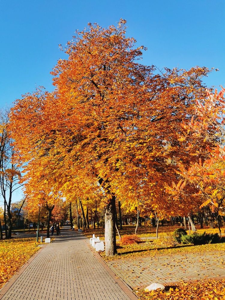 Photograph by Андрей Тур