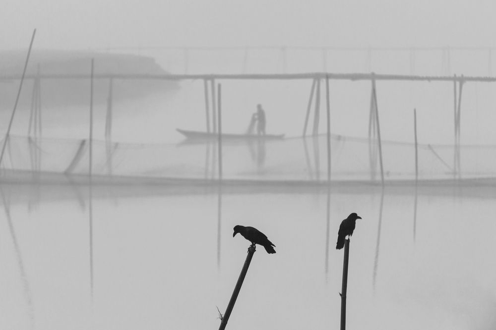 Photograph by Saurav Kumar Boruah