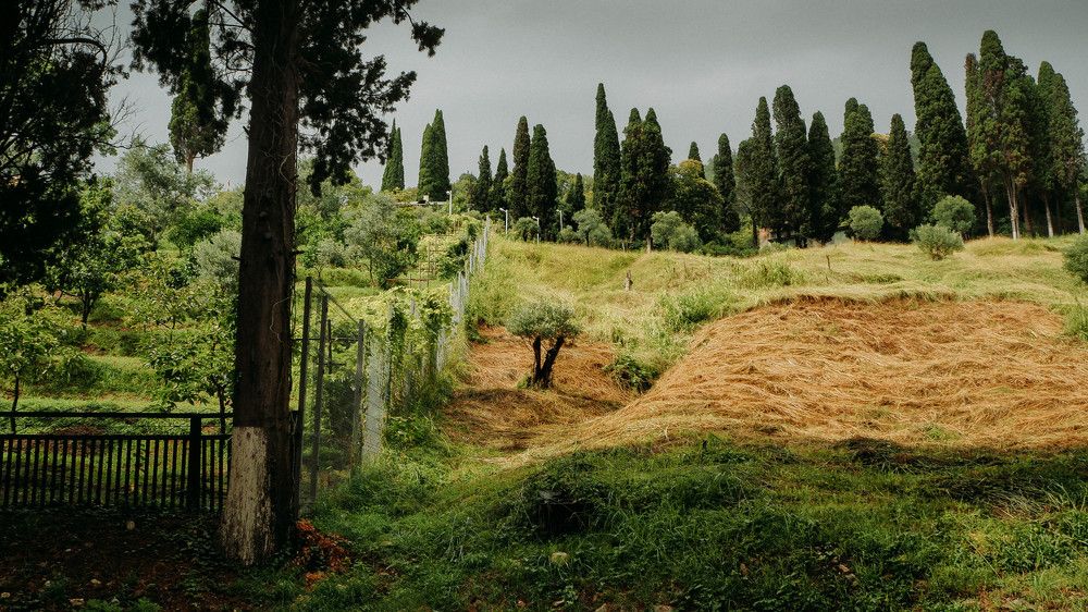 Фотография автора Елена Сайфуллина