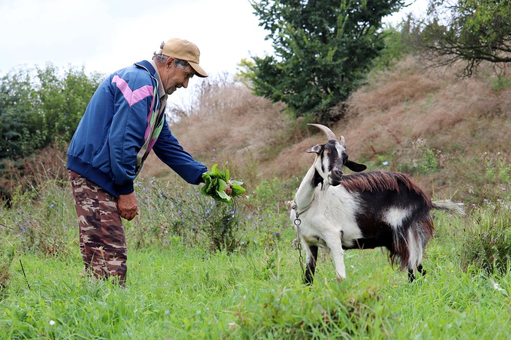 Photograph by Олег Елков