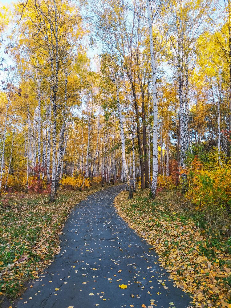 Photograph by Ирина Половцева