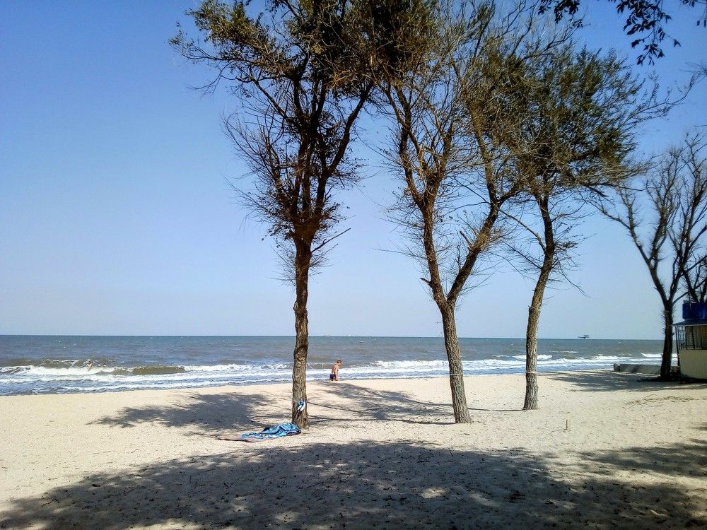 Пляж в станице.