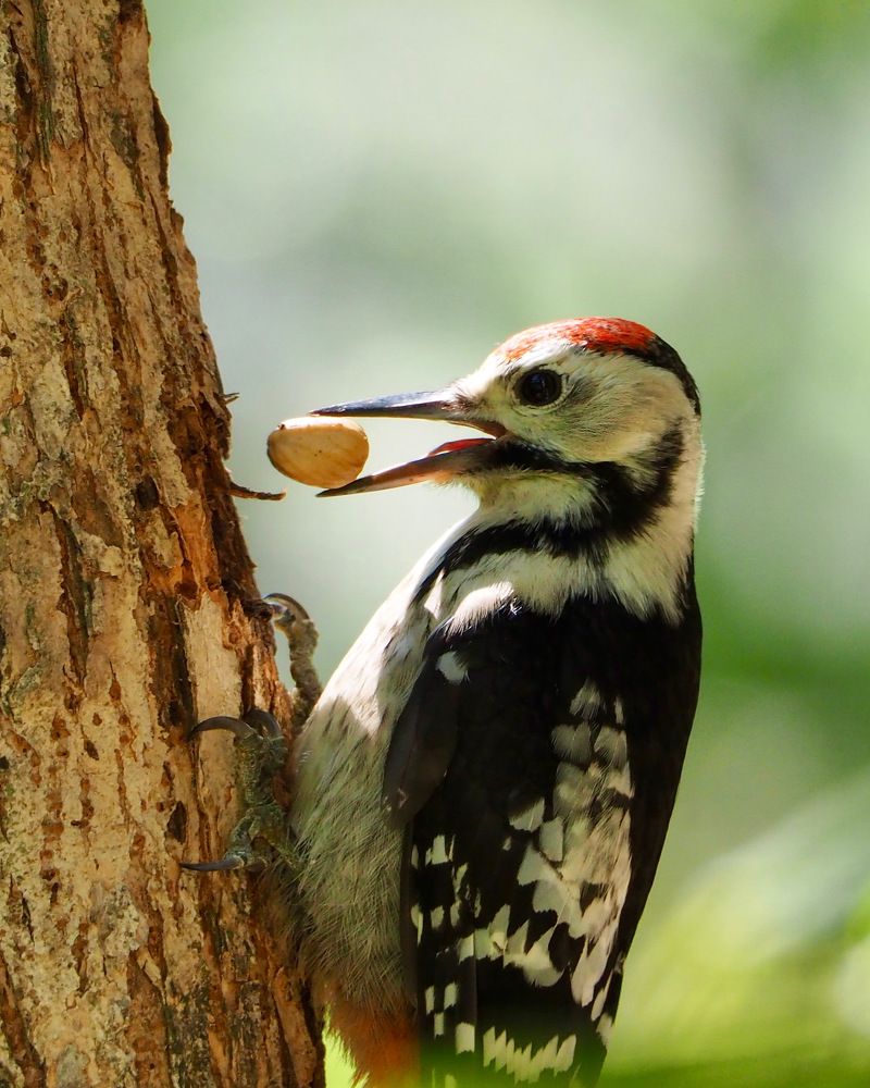 Photograph by Юлия Поршнева
