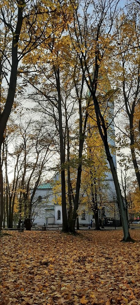 Photograph by Марийона Савоненко