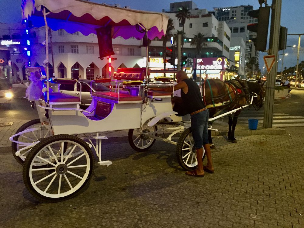 Photograph by Albert Russo