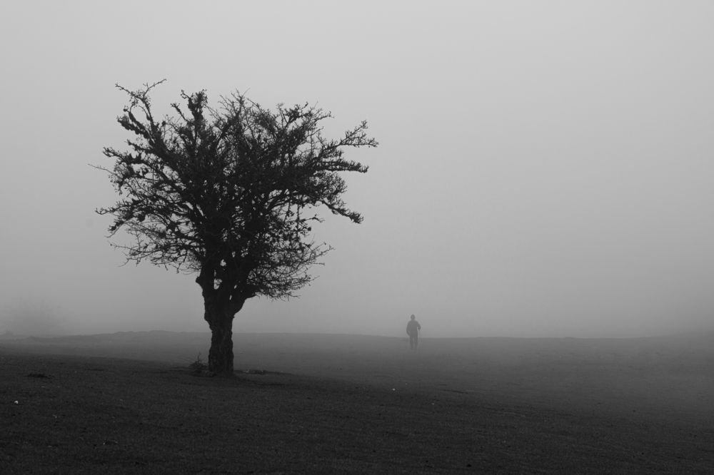 Photograph by Mohamad Khodaveisi