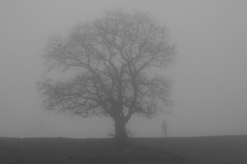 Photograph by Mohamad Khodaveisi