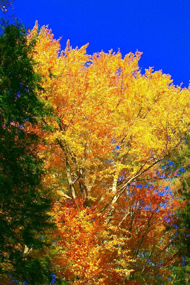 Фотография автора Jaroslav Hanzalík