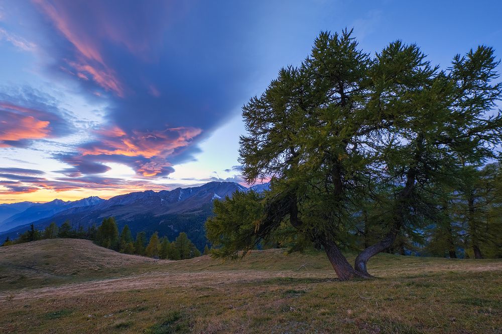 Photograph by Seematter Beat