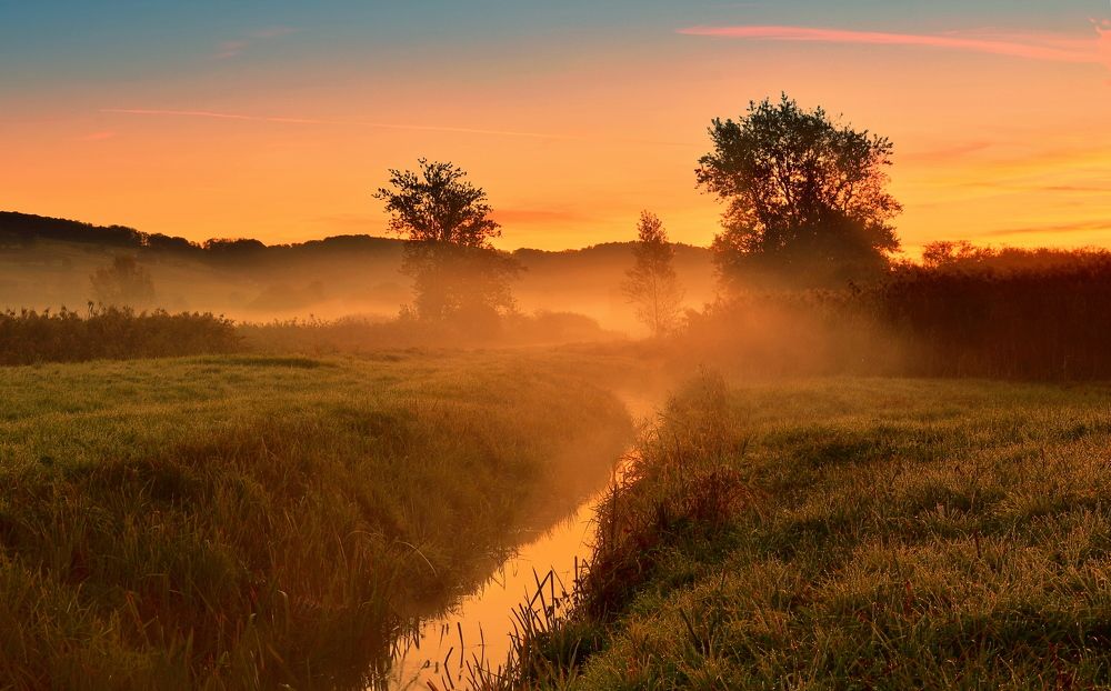 Photograph by Elena Wymann