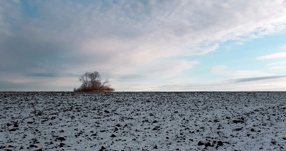 Photograph by Марина Слепова