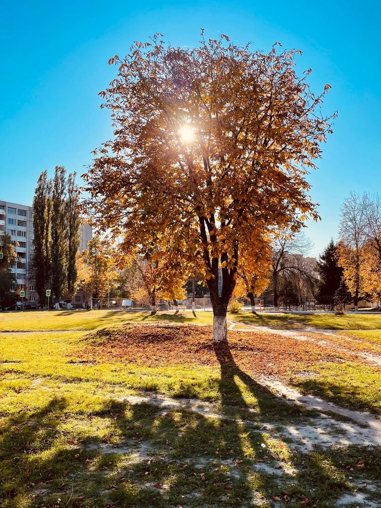 Photograph by Марина Тверитнева