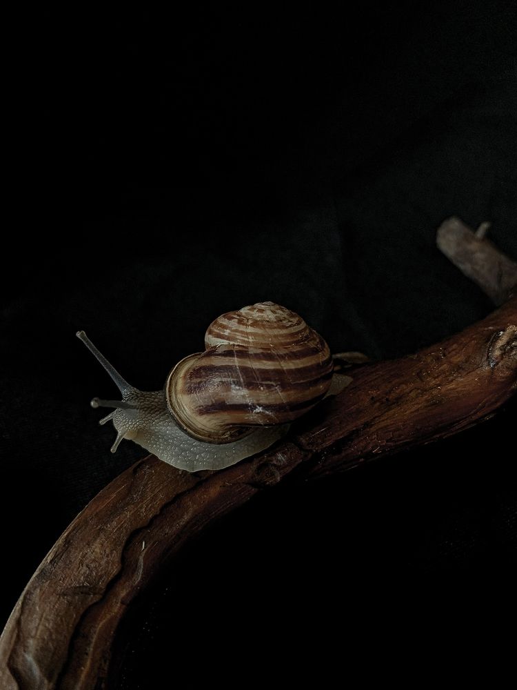 Photograph by Яна Полякова