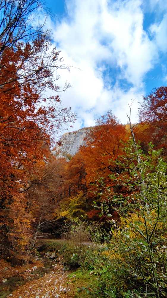 Photograph by rusenescu ramona