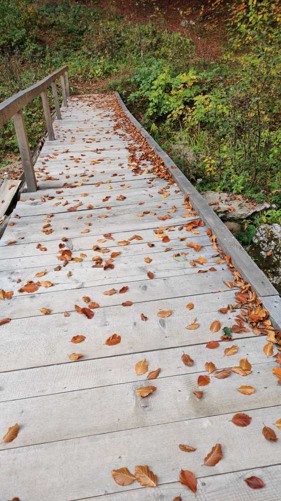 Photograph by rusenescu ramona