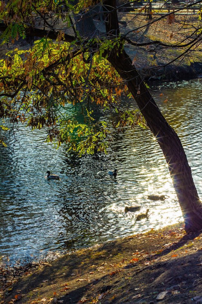 Photograph by Елена Кулакова