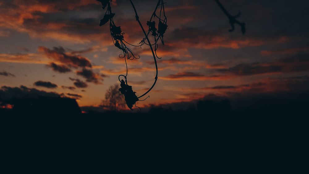 Photograph by Виктор Литошик