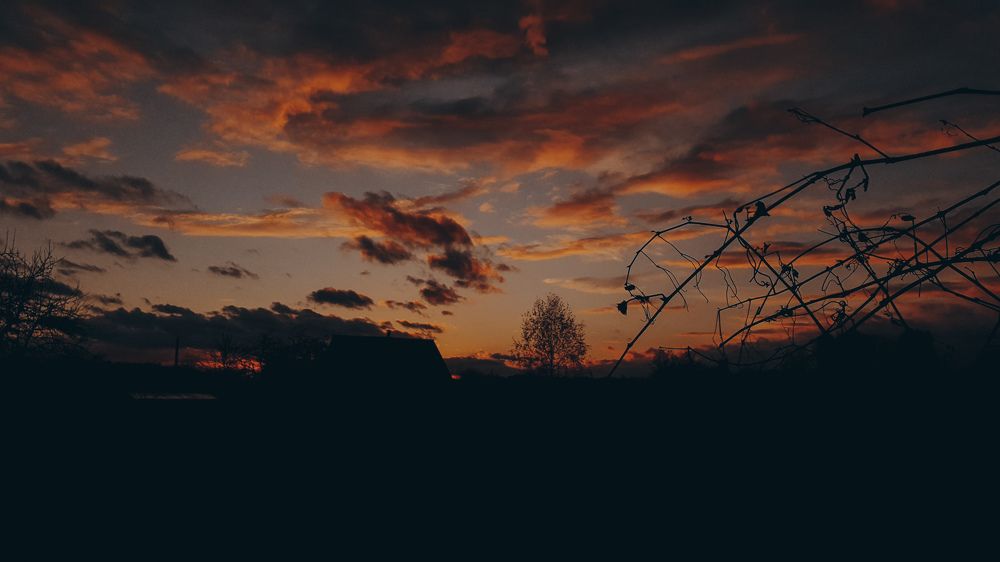 Photograph by Виктор Литошик