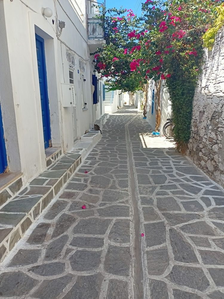 Photograph by Vasilis