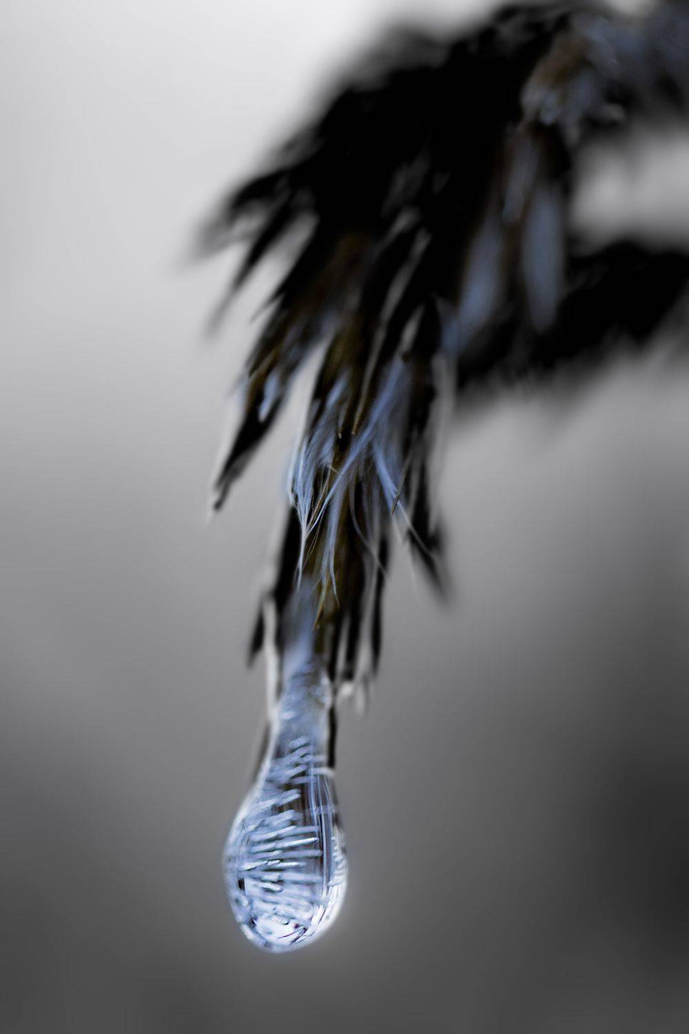 Photo #6650310