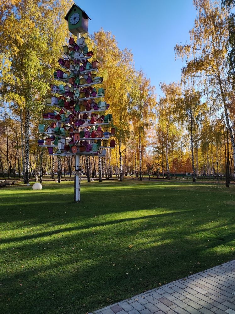 Photograph by Татьяна