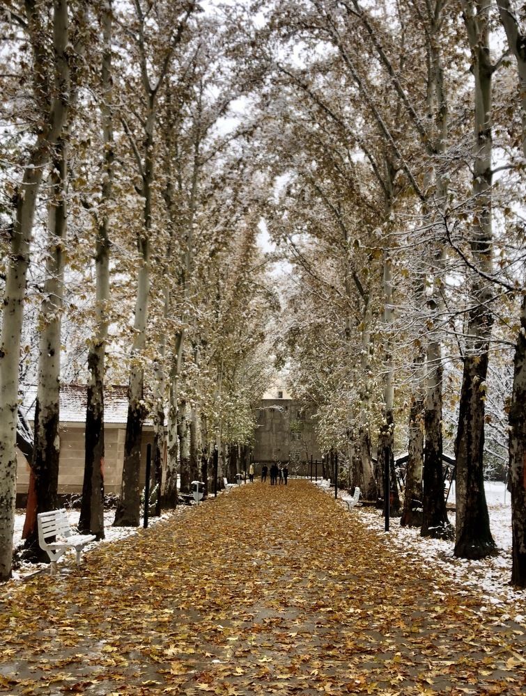 Photograph by roya razaghi