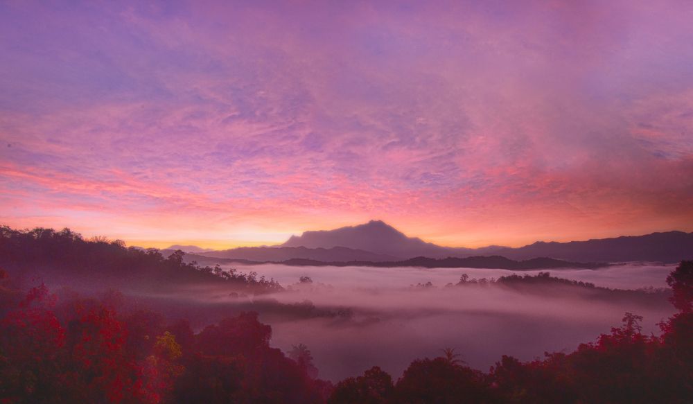 Photograph by Taufiq Aspal