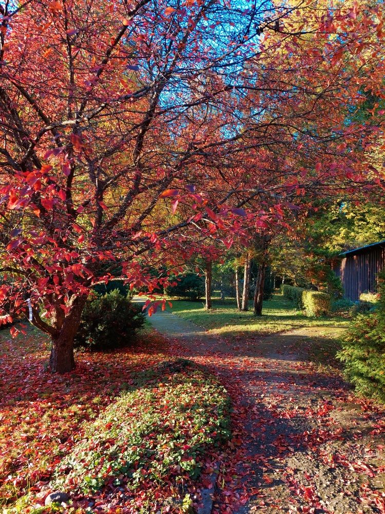 Photograph by Kristiina Soots