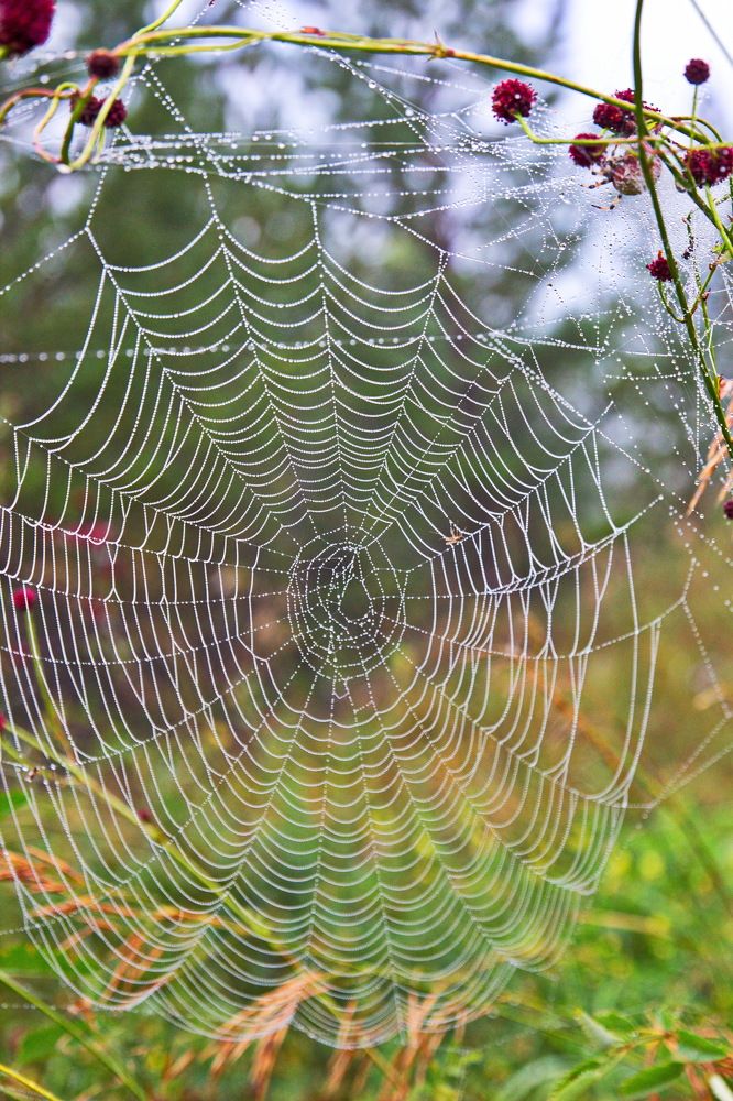 Photograph by Геннадий Лосев