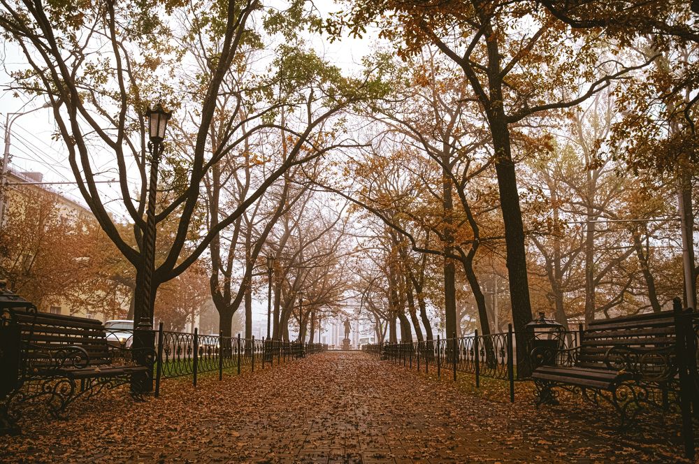 Photograph by Вячеслав Смеликов