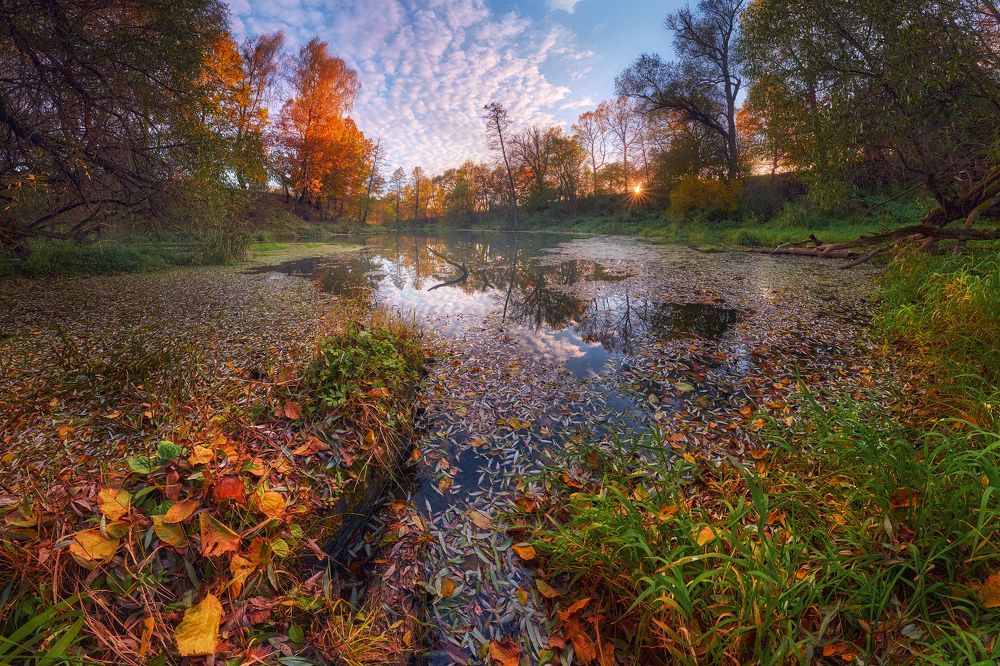 Photograph by Konstantin Voronov