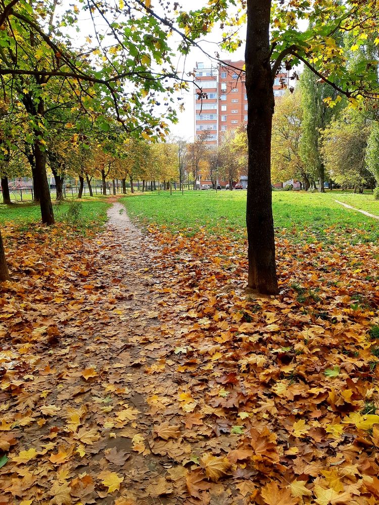 Фотография автора Ирина Лукьянчик