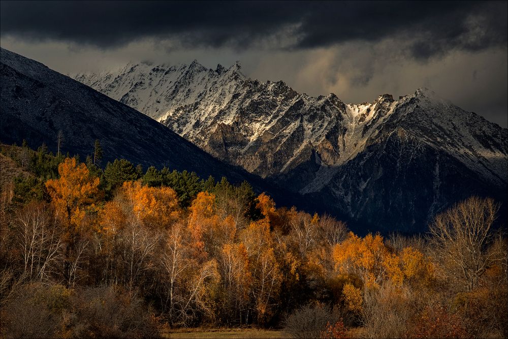 Photograph by Стас Кадрулёв