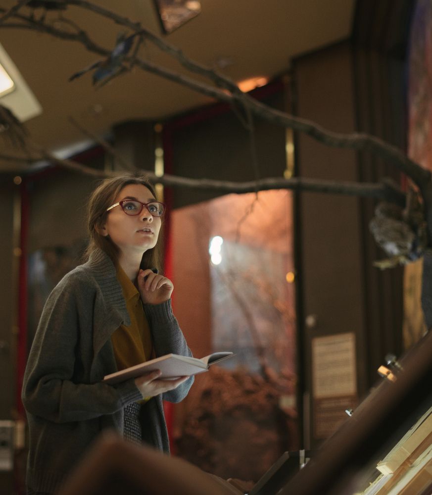 Ночь в музее