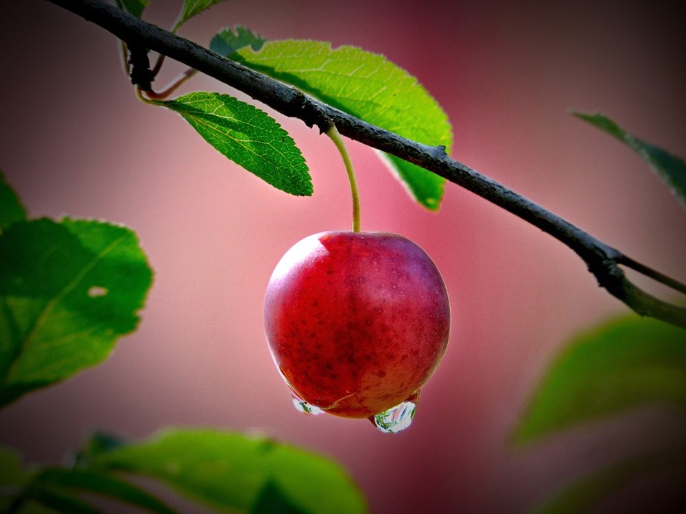 Photograph by Іван Березовський