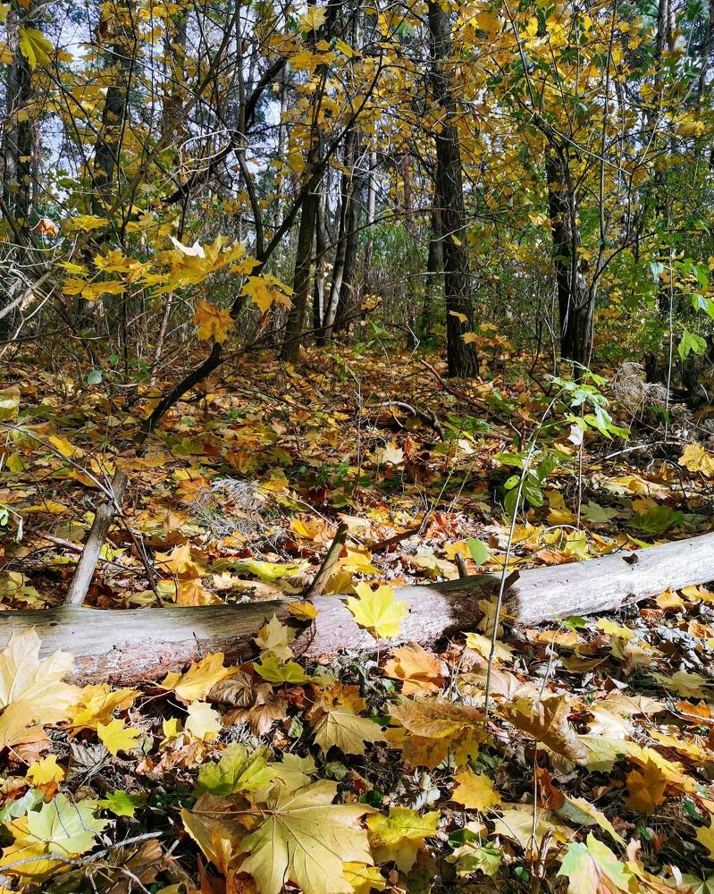 Photograph by Оксана Урбанович