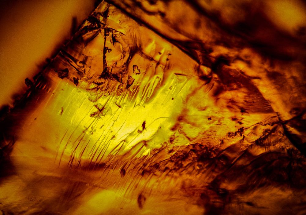 Photograph by Ольга Сафронова