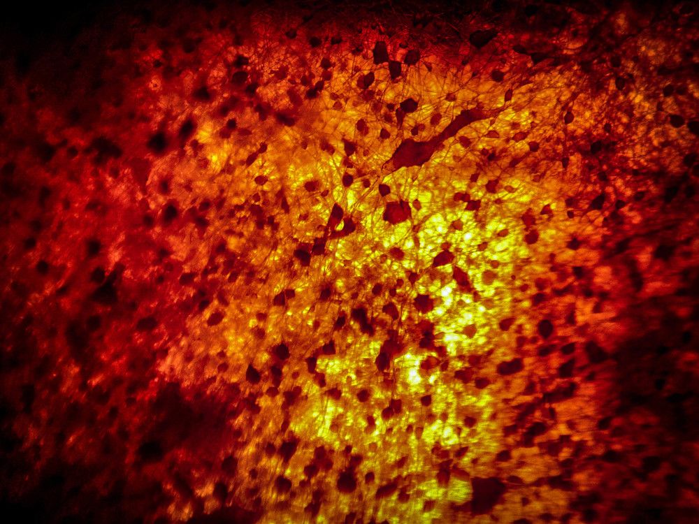 Photograph by Ольга Сафронова