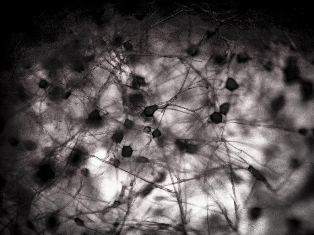 Photograph by Ольга Сафронова