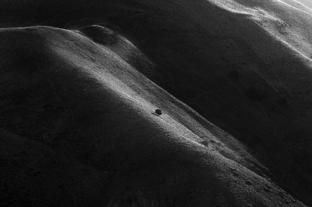 Photograph by Mohamad Khodaveisi