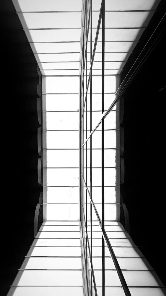 Фотография автора Мария Веселова