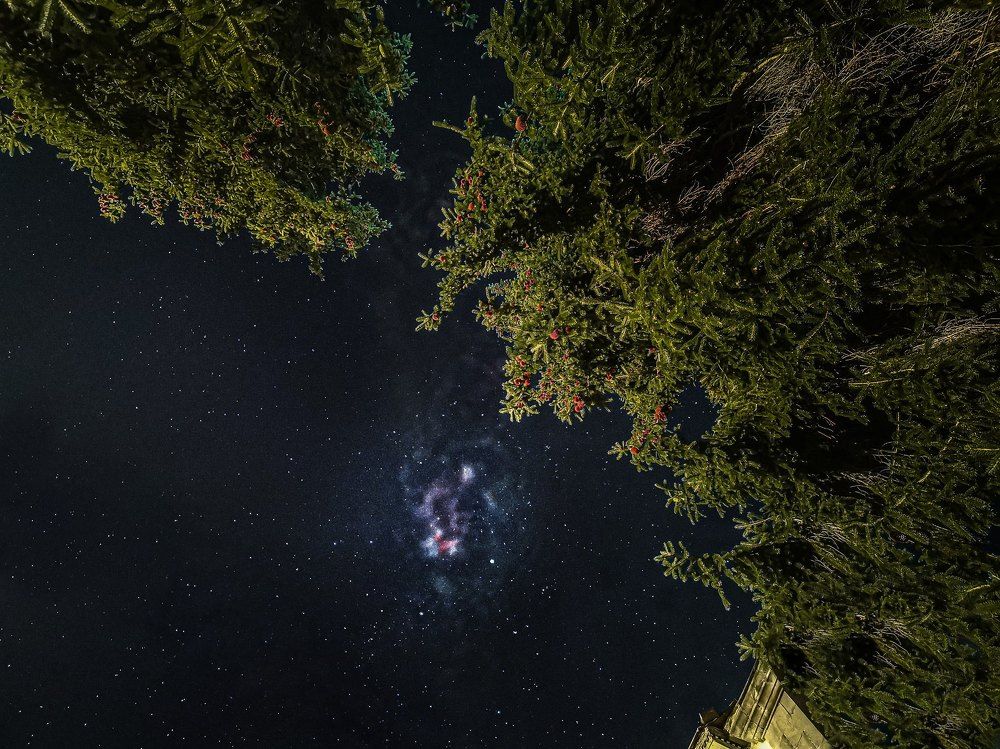 Photograph by nini tsitskishvili