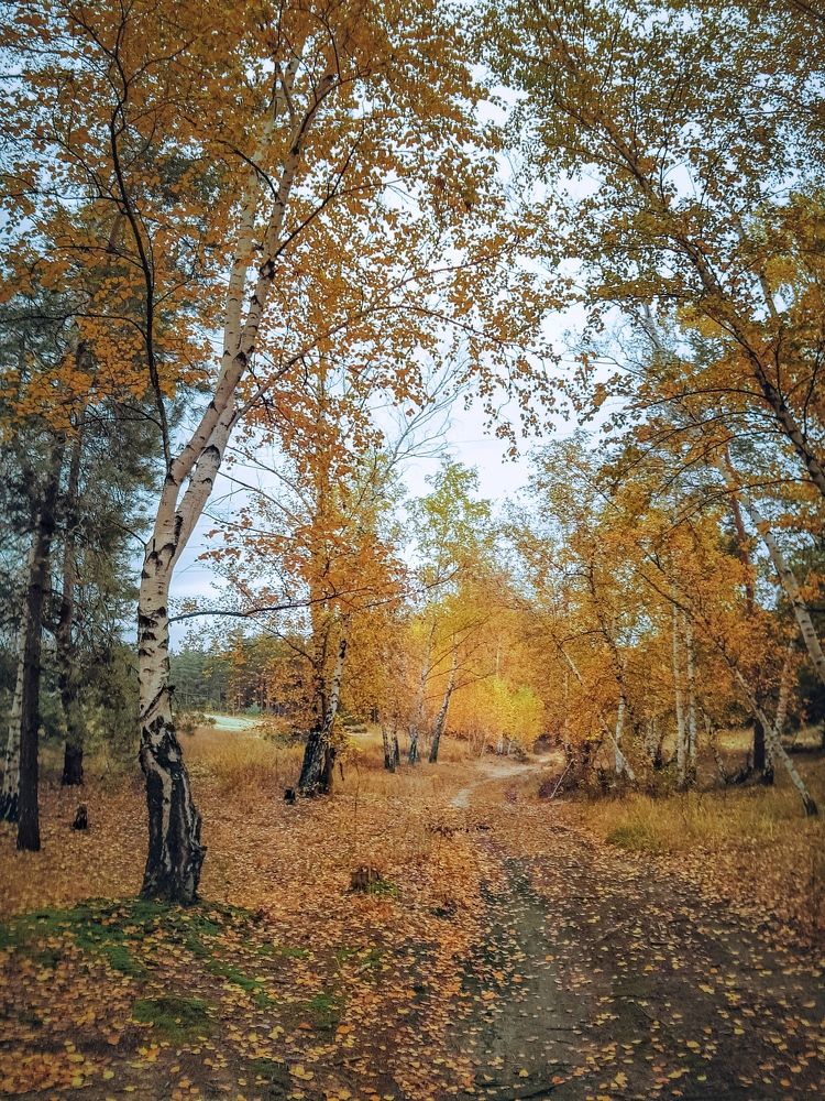 Photograph by Сергей Колос